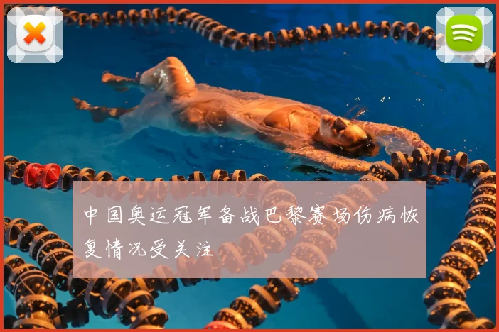 中国奥运冠军备战巴黎赛场伤病恢复情况受关注