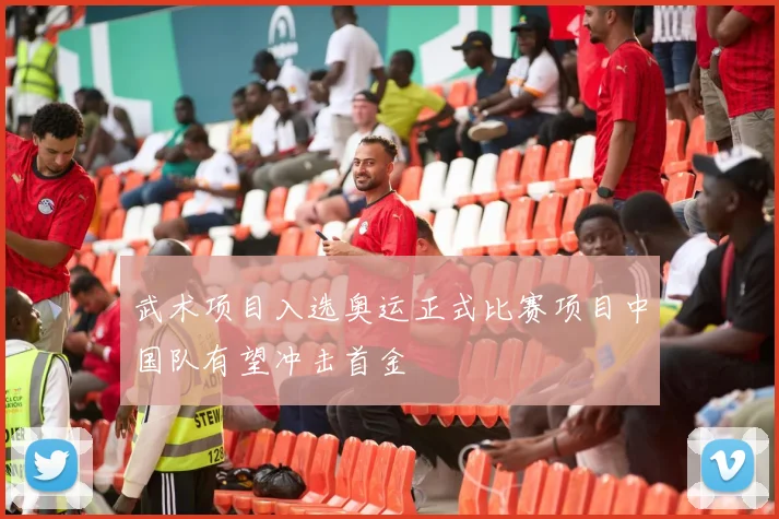 武术项目入选奥运正式比赛项目中国队有望冲击首金