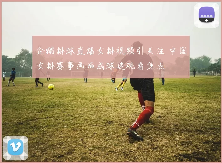 企鹅排球直播女排视频引关注 中国女排赛事画面成球迷观看焦点