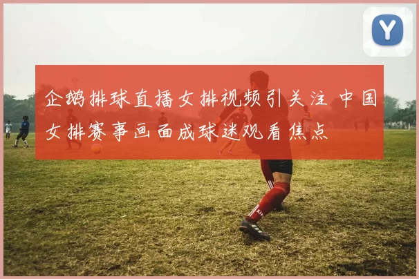 企鹅排球直播女排视频引关注 中国女排赛事画面成球迷观看焦点